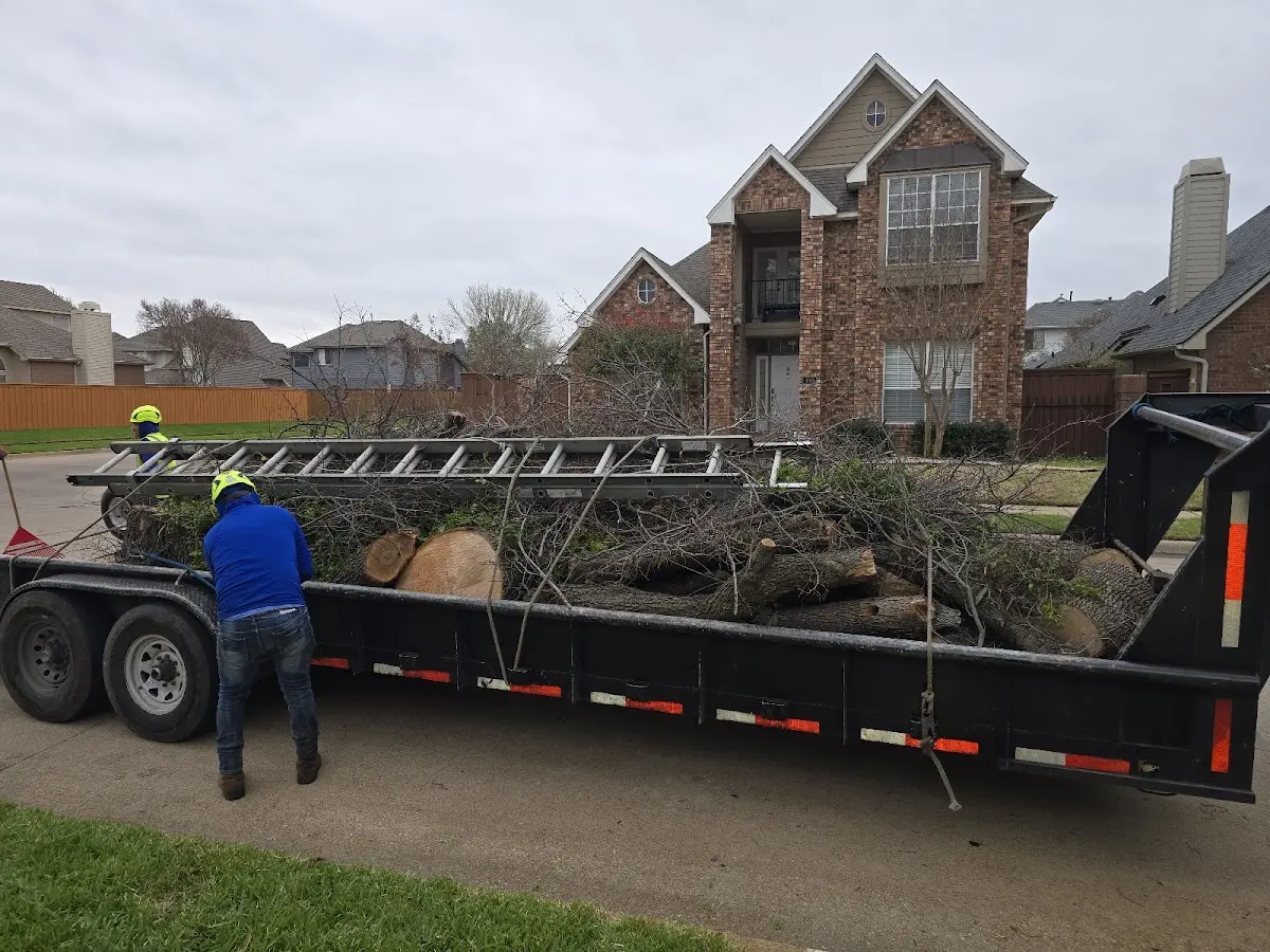 Expert Tree Fertilization with proper safety equipment in Amherst